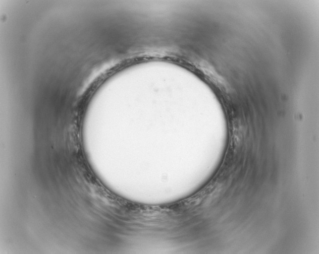 X0000088641256200706221537