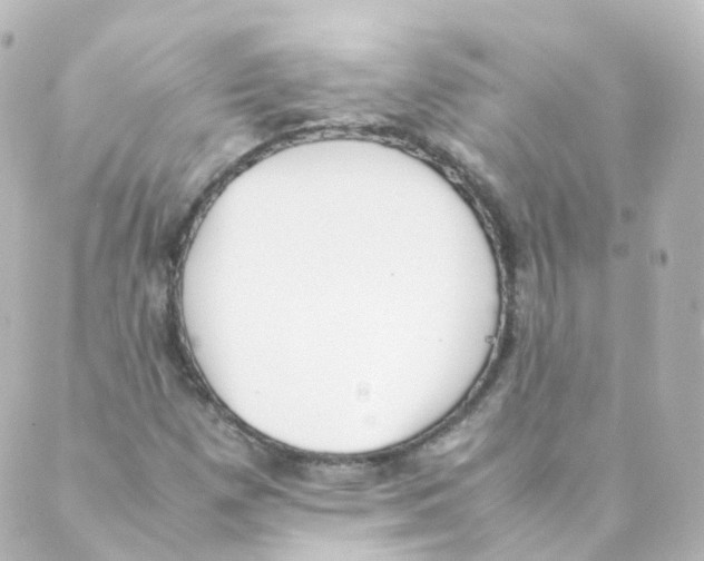 X0000088641257200706221537