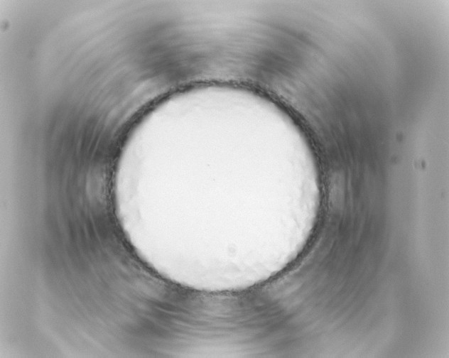 X0000088641258200706221537