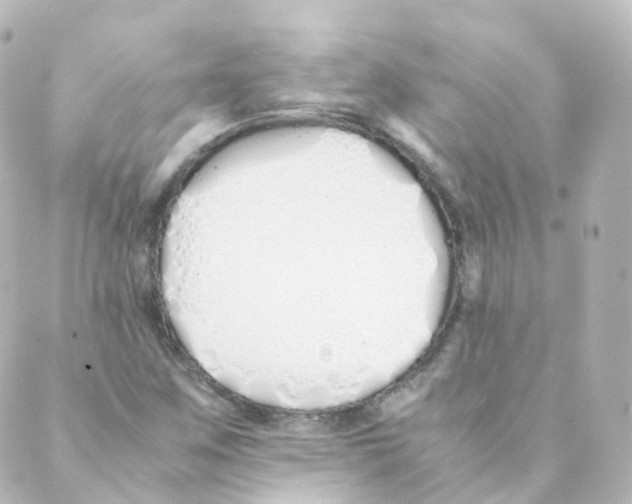 X0000088641259200706221537