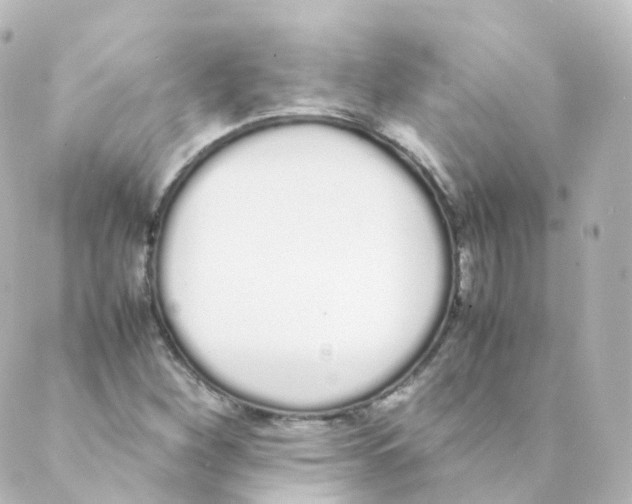 X0000088641260200706221537