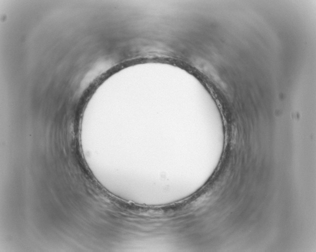 X0000088641261200706221537