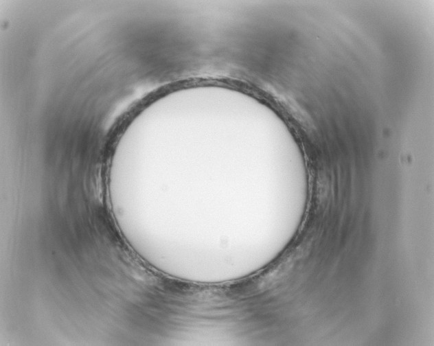 X0000088641262200706221537