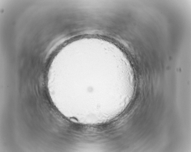 X0000088641263200706221537