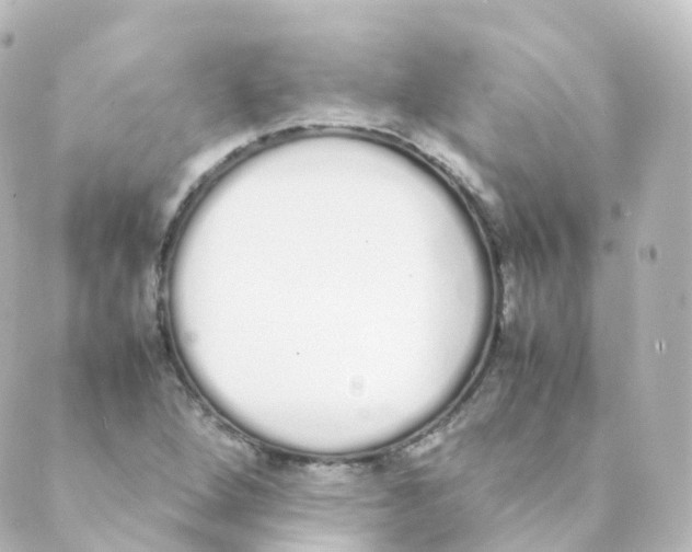 X0000088641264200706221537