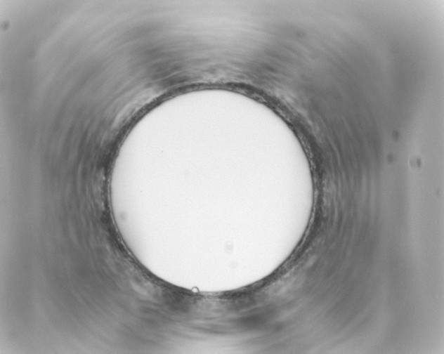 X0000088641265200706221537