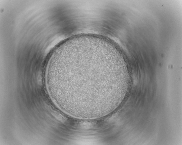 X0000088641266200706221537