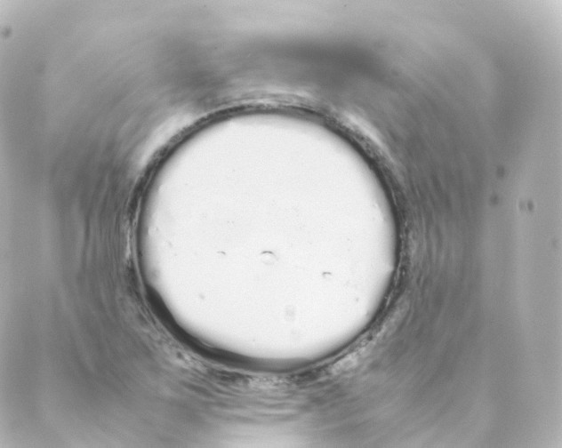 X0000088641267200706221537