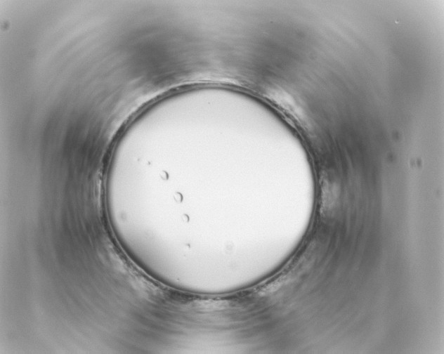 X0000088641268200706221537