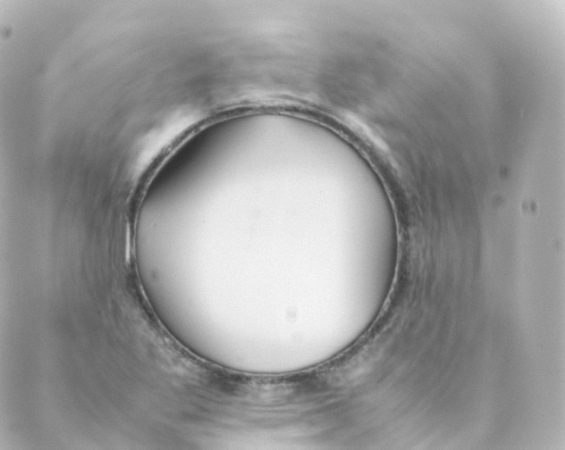 X0000088641269200706221537