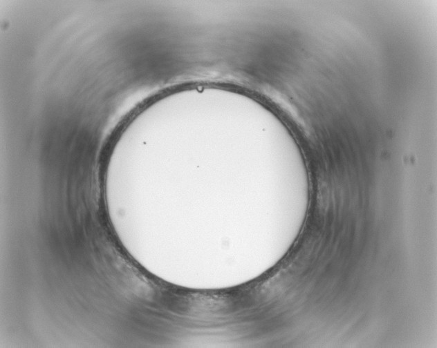 X0000088641270200706221537