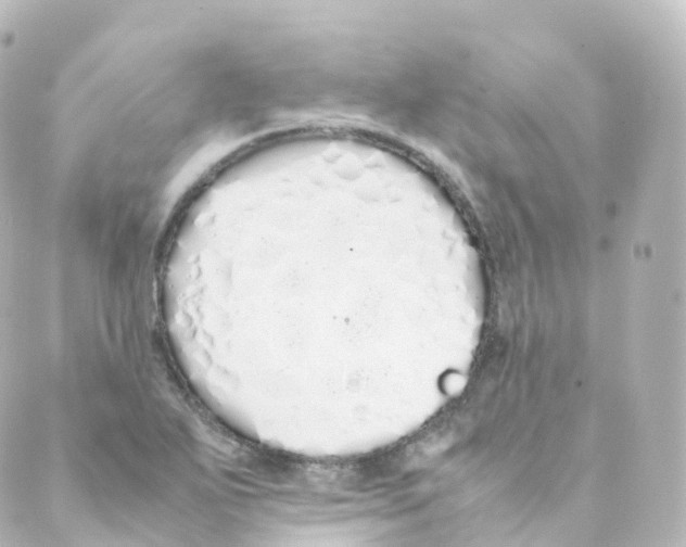 X0000088641271200706221537