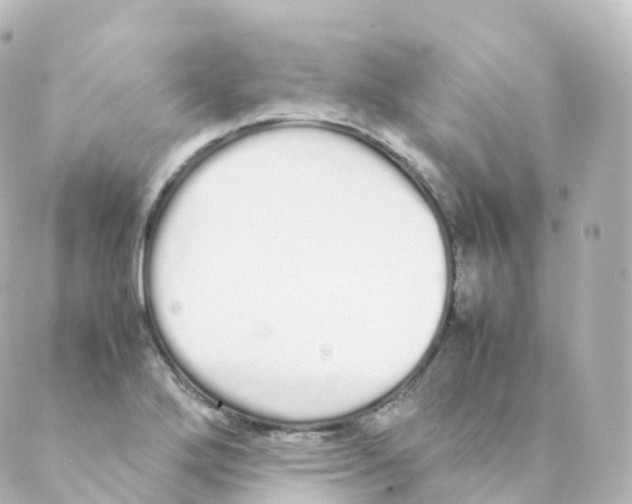 X0000088641272200706221537