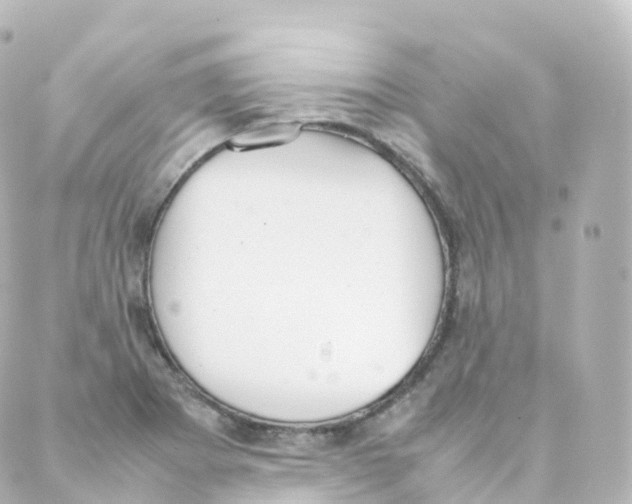 X0000088641273200706221537