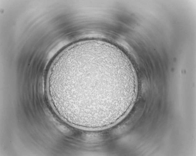 X0000088641274200706221537