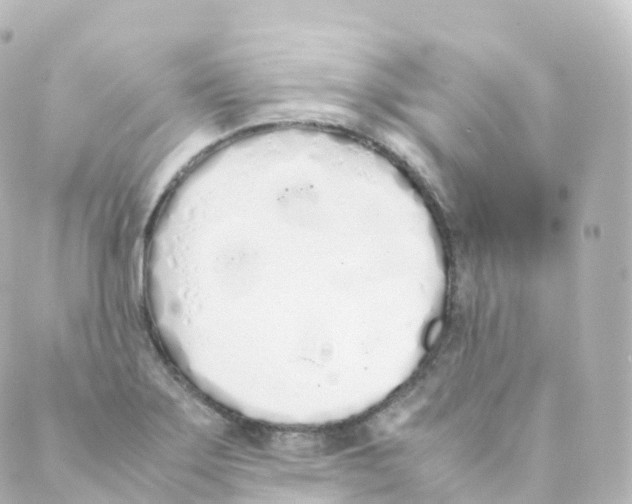 X0000088641275200706221537