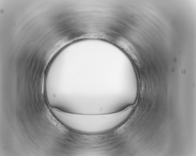 X0000088641276200706221537