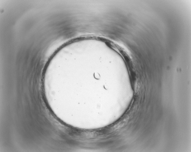 X0000088641279200706221536