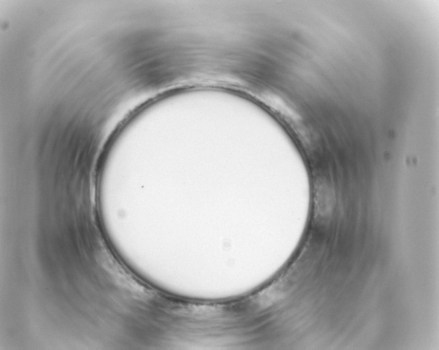 X0000088641280200706221536