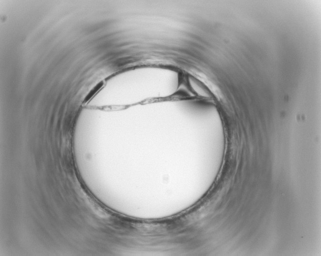 X0000088641281200706221536