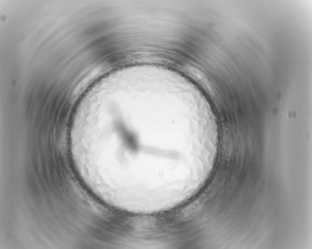 X0000088641282200706221536