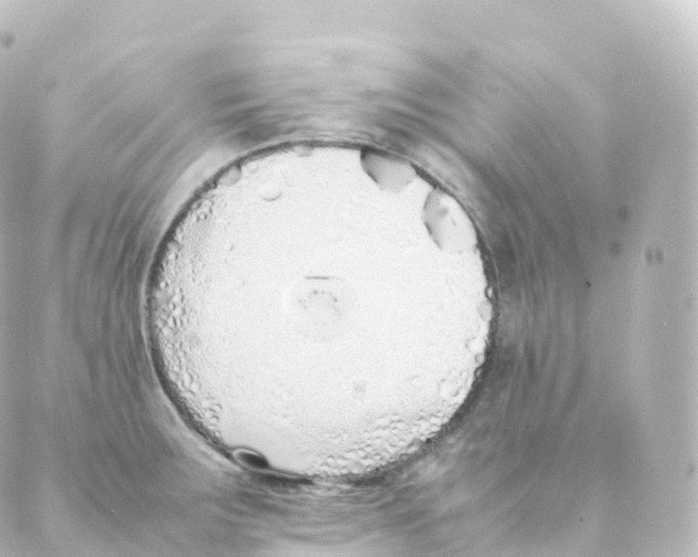 X0000088641283200706221536