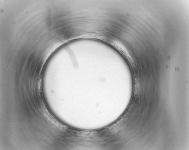 X0000088641284200706221536