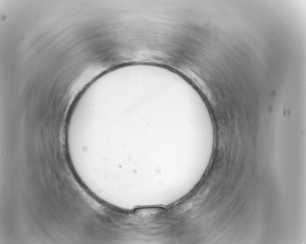 X0000088641285200706221536