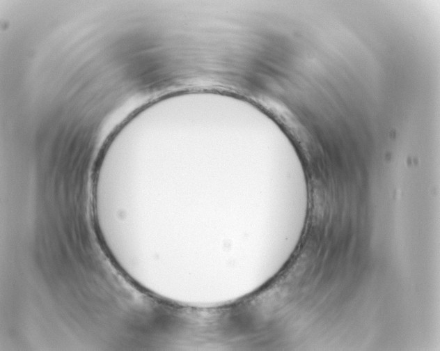 X0000088641286200706221536