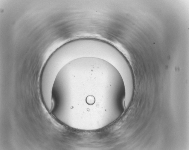 X0000088641287200706221536