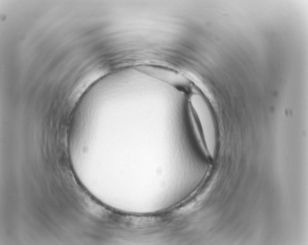 X0000088641289200706221536