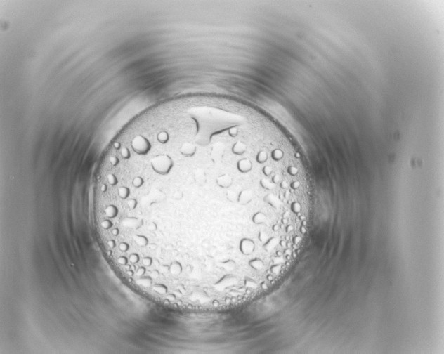 X0000088641290200706221536