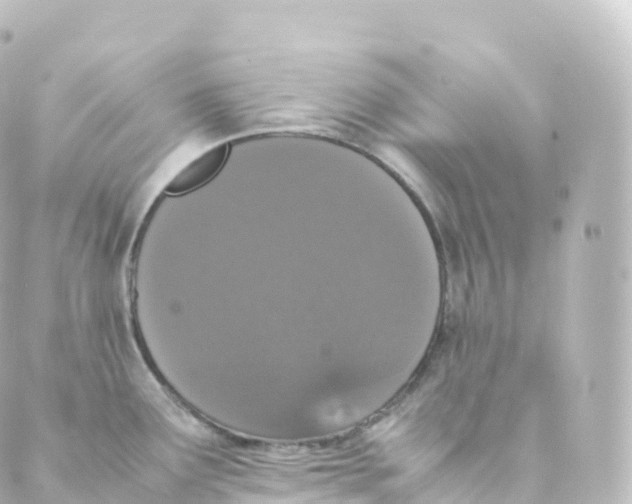 X0000088641291200706221536