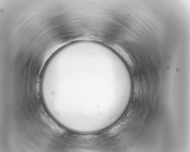 X0000088641292200706221536