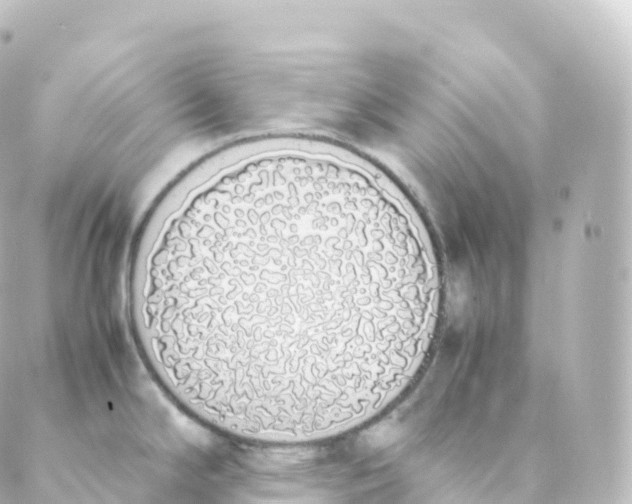 X0000088641294200706221536