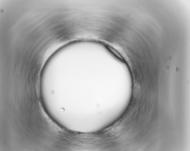 X0000088641295200706221536