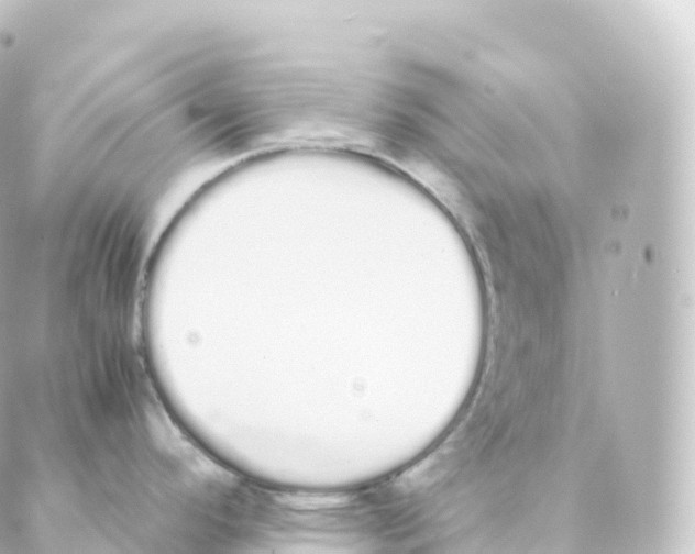 X0000088641296200706221536