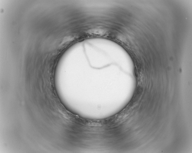 X0000088641297200706221535