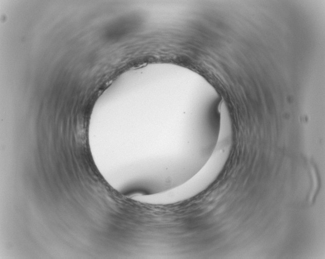 X0000088641298200706221535