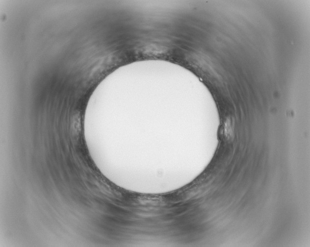 X0000088641299200706221535