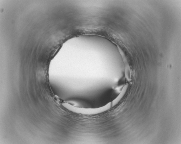 X0000088641300200706221535