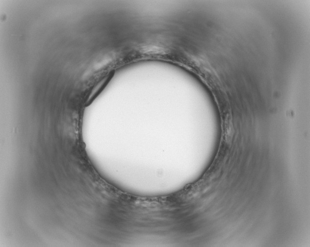 X0000088641301200706221535