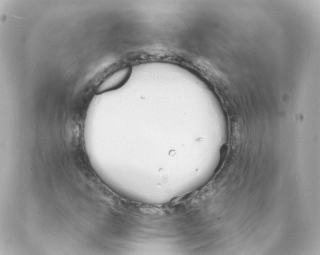 X0000088641302200706221535