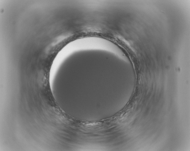 X0000088641303200706221536