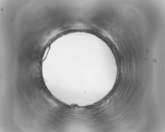 X0000088641304200706221536