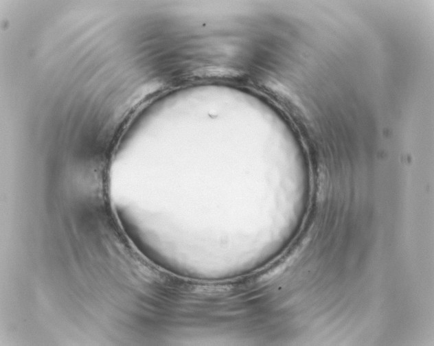 X0000088641305200706221536