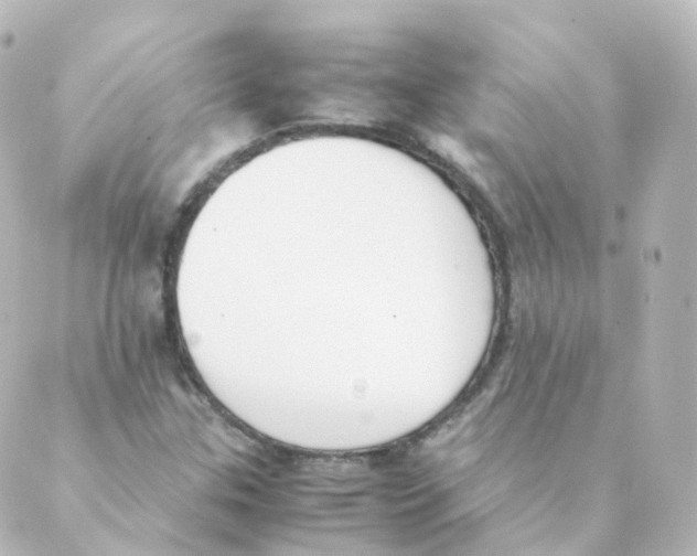 X0000088641307200706221536