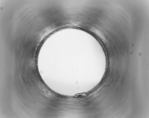 X0000088641308200706221536