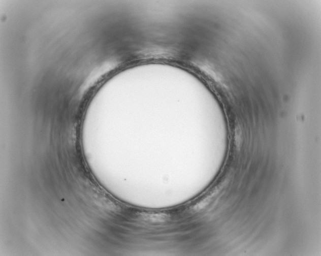 X0000088641309200706221536