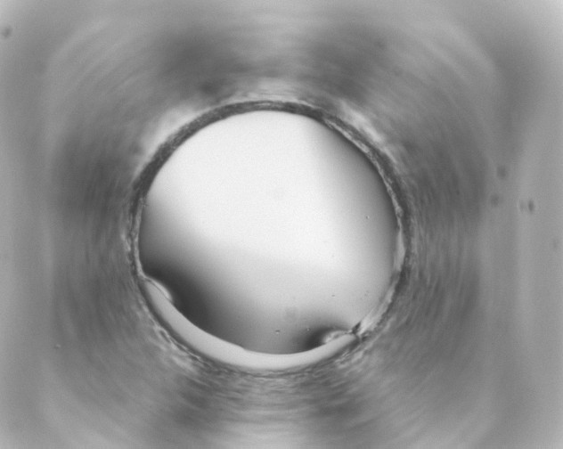 X0000088641312200706221536